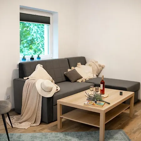 Letniskowy Soluch Lodge